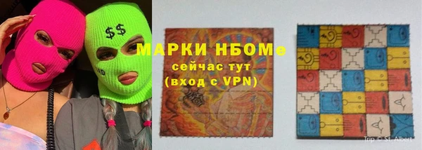 прущие грибы Новозыбков