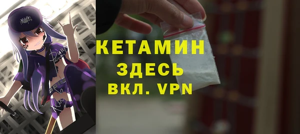 прущие грибы Новозыбков