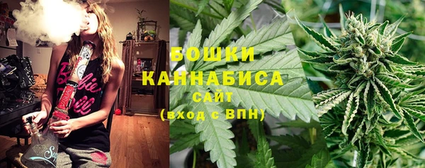 гидра Балахна