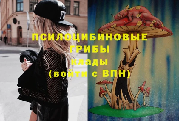 гидра Балахна
