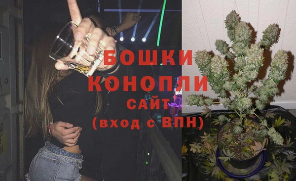 сатива Баксан