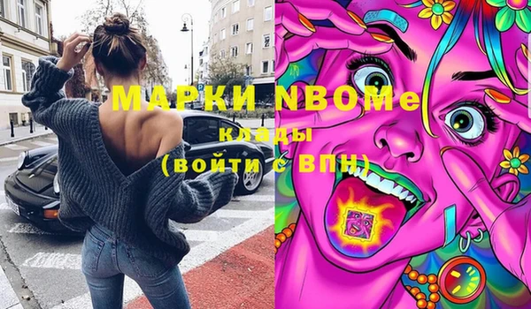 прущие грибы Новозыбков