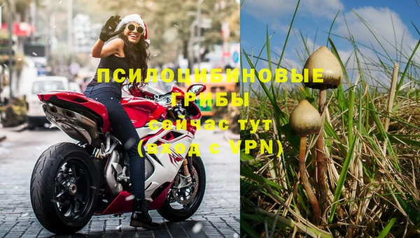 дурь Усмань