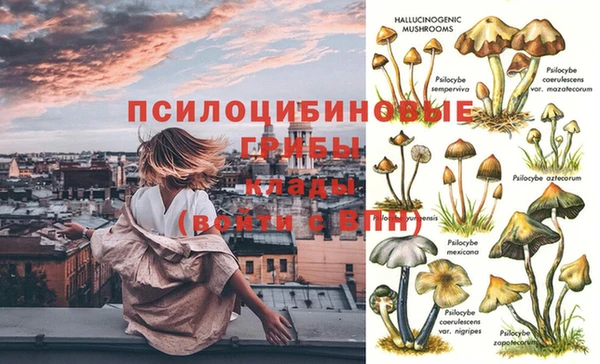 гидра Балахна