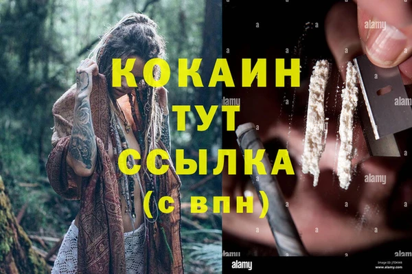 крисы Новодвинск