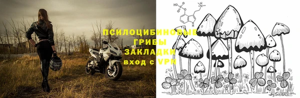 гидра Балахна